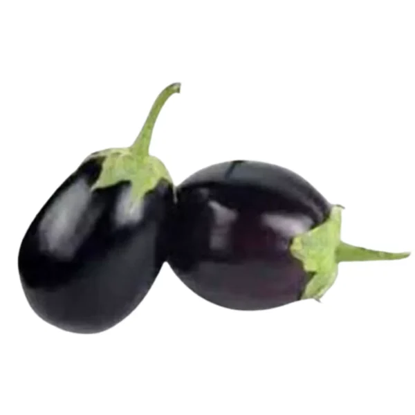 গোল কালো বেগুন (Gol Kalo Begun, Round Brinjals Black)