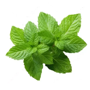 পুদিনা পাতা (Pudina Pata, Mint Leaves)