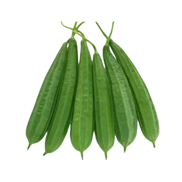 ঝিঙা (Jhinga, Ridge Gourd)