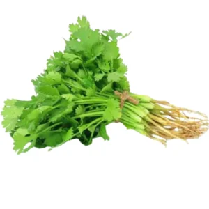 ধনিয়া পাতা ( Dhonia Pata, Coriander Leaves)