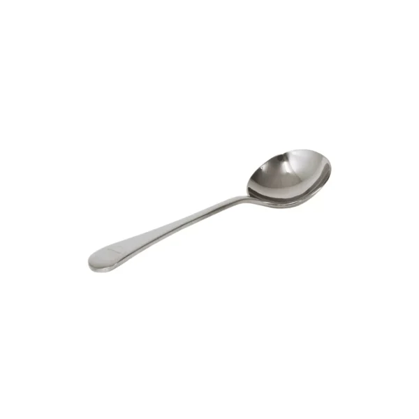 Stainless Steel Curry Spoon