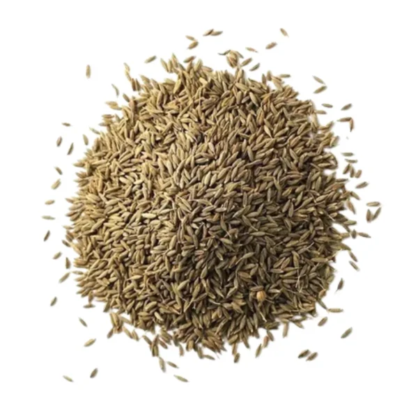 Cumin (Jira) 100 gm