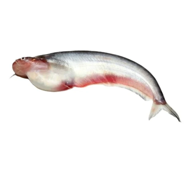 Pabda Fish ±30 gm 500 gm