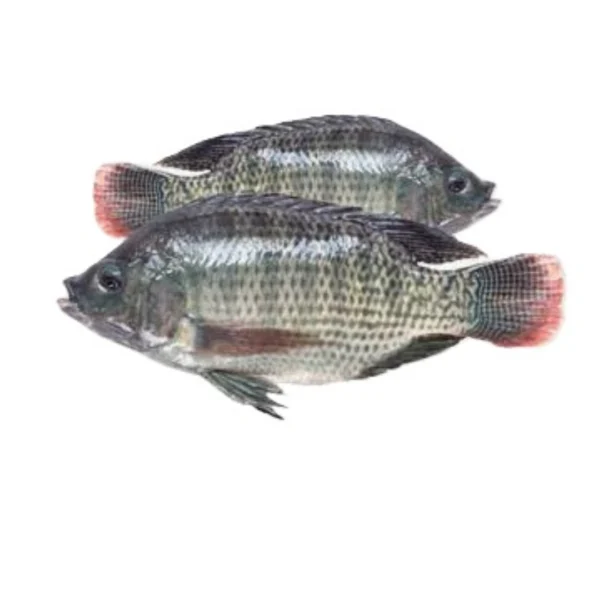 Tilapia Fish medium 1 Kg (4/5) pcs