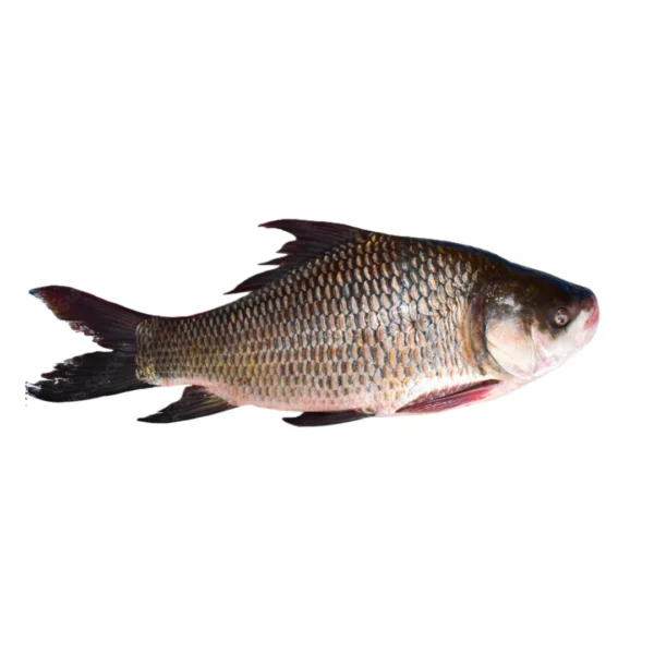 Katla-Fish 1kg