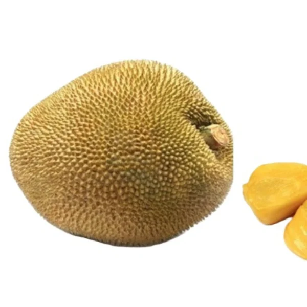 Jackfruit (কাঁঠাল) Per Pc (6-8) kg